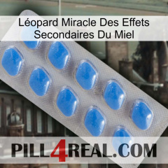 Léopard Miracle Des Effets Secondaires Du Miel 22